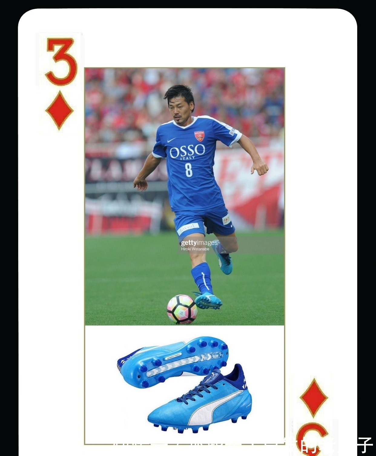 们不仅收获